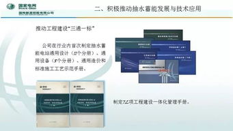 抽水蓄能技術發展與網絡技術融合的前沿探索
